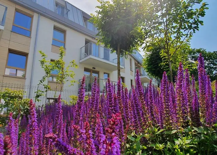 Sunrise アパート *