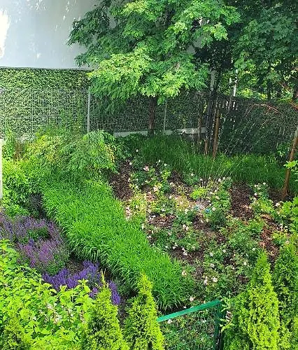 アパート Sunrise *